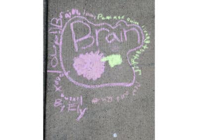 Chalk Drawing Brain
